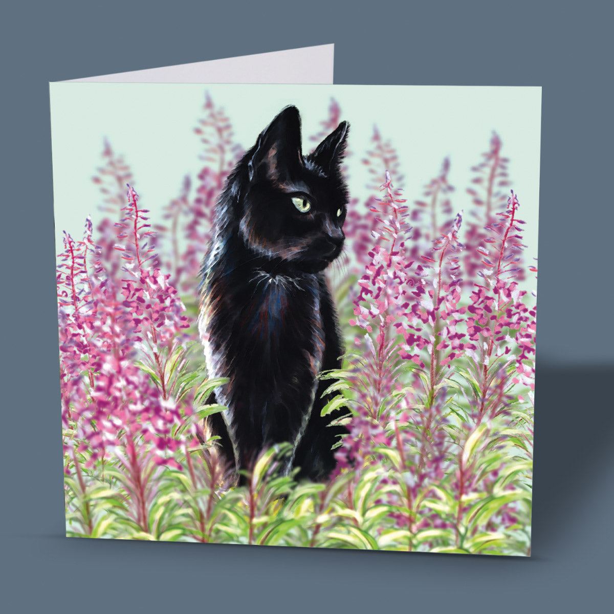 greeting cards with pets