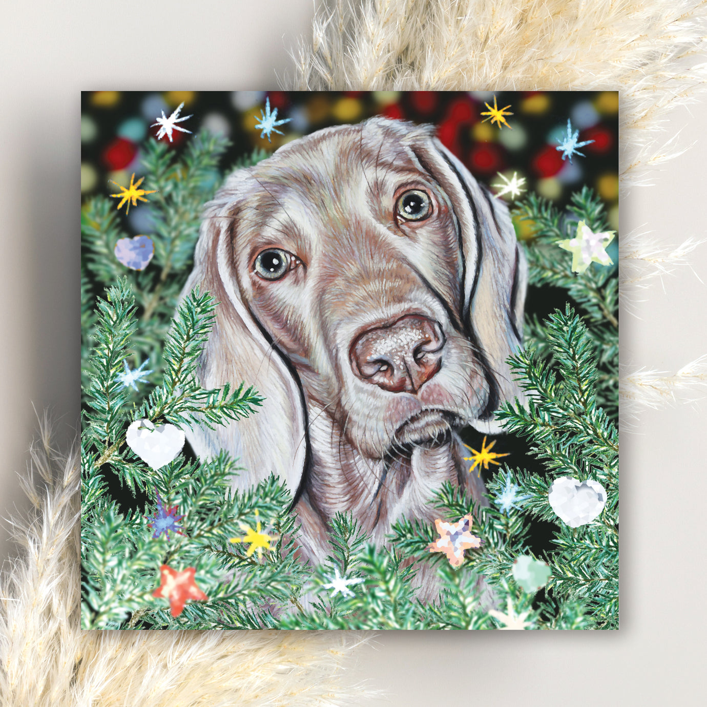 christmas cards with pets