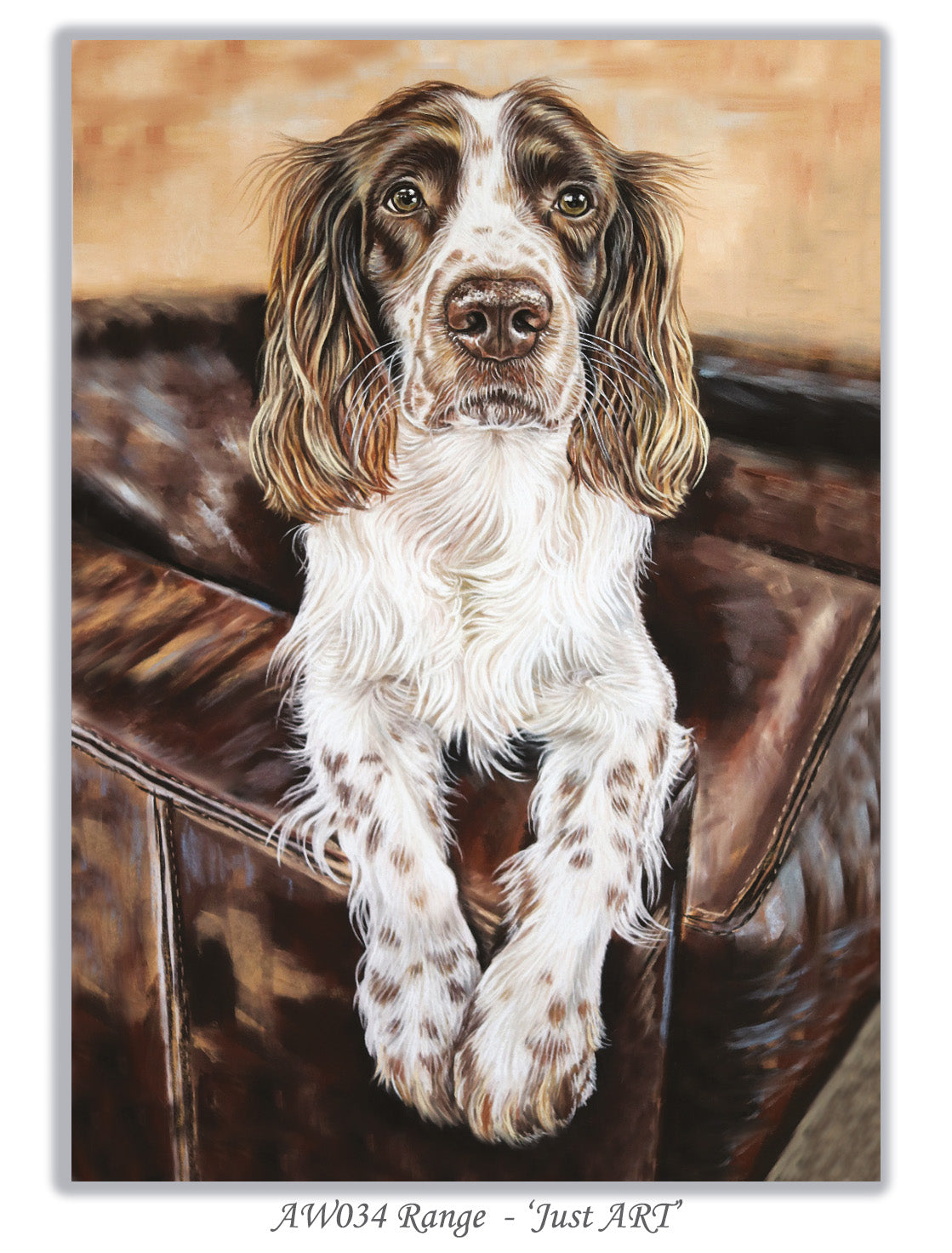 springer spaniel birthday card