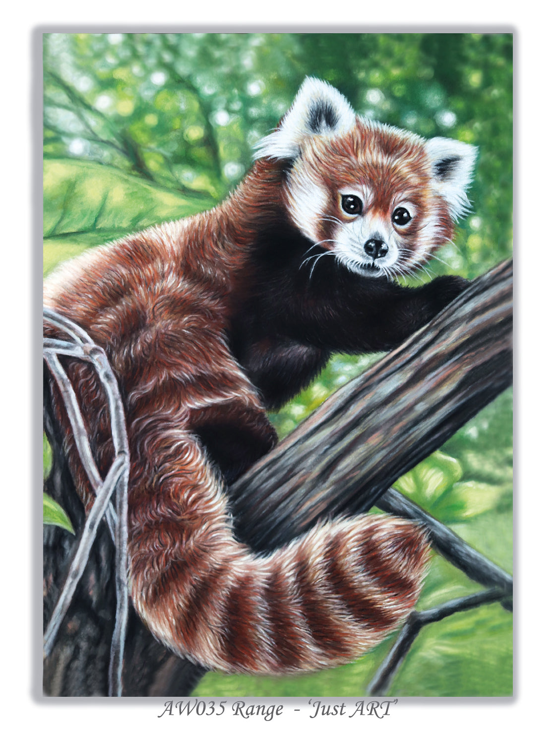 greeting card red panda