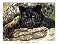 greeting card black panther