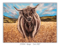 greeting card highland cow