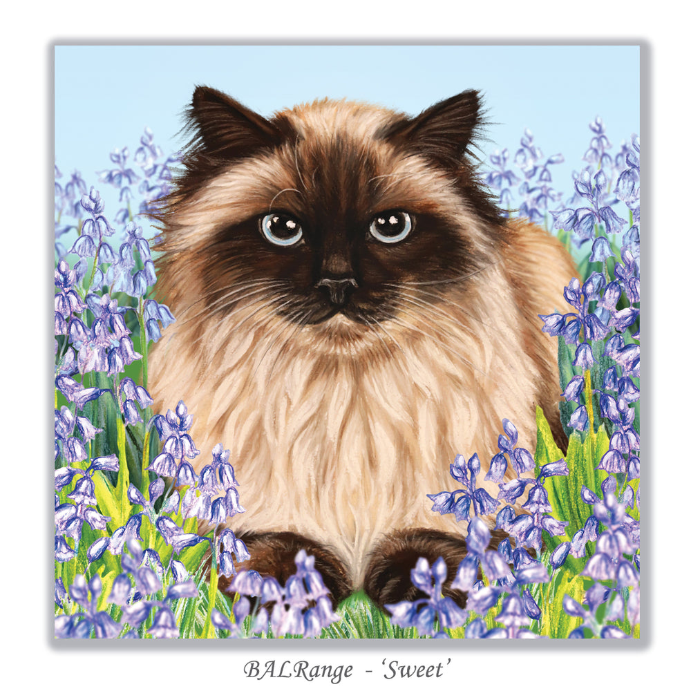 balinese cat greeting card