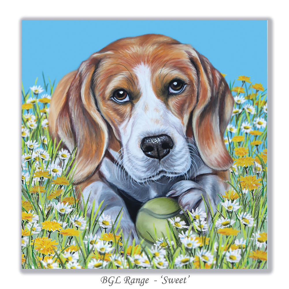 greeting card with beagle