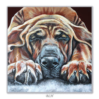 bloodhound card