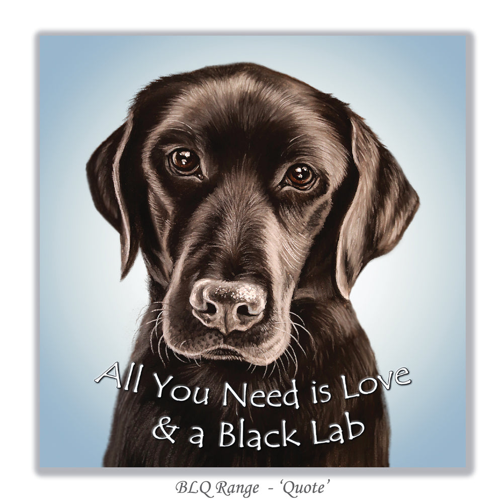 all you need is love & a black lab