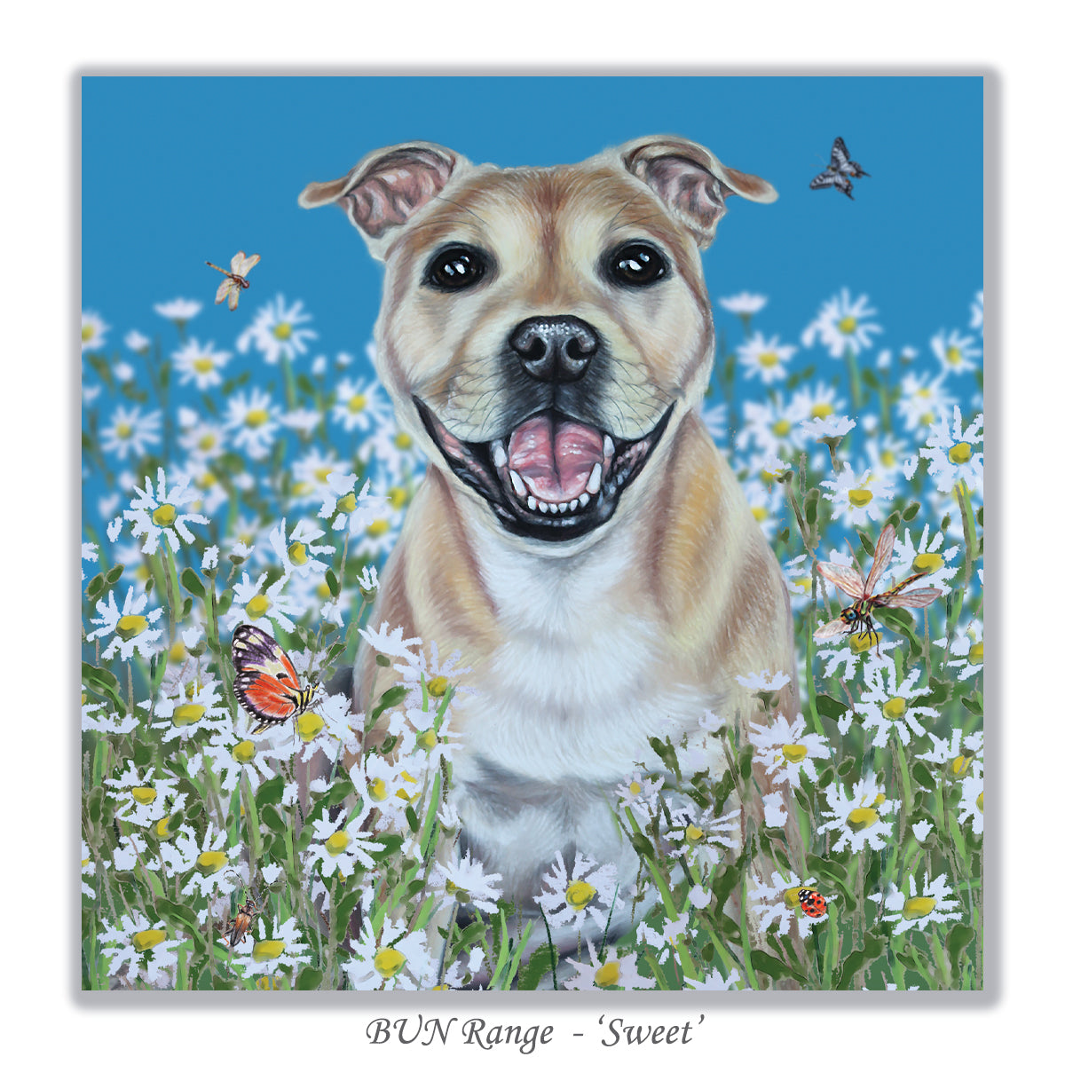 greeting card staffy