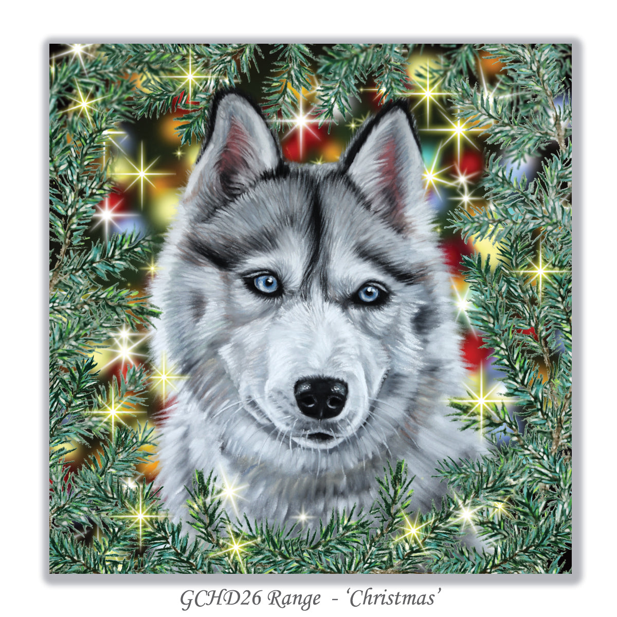 christmas card Siberian Husky