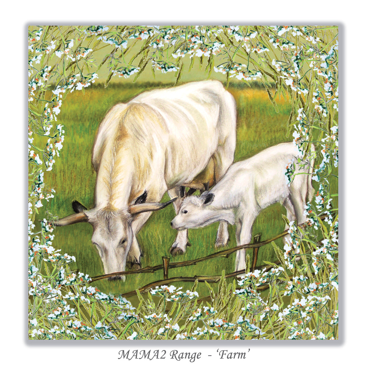 greeting card cows
