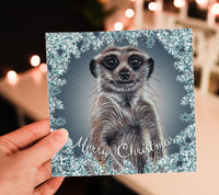 meerkat christmas card