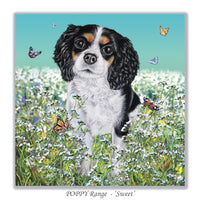 Cavalier King Charles Spaniel greeting card