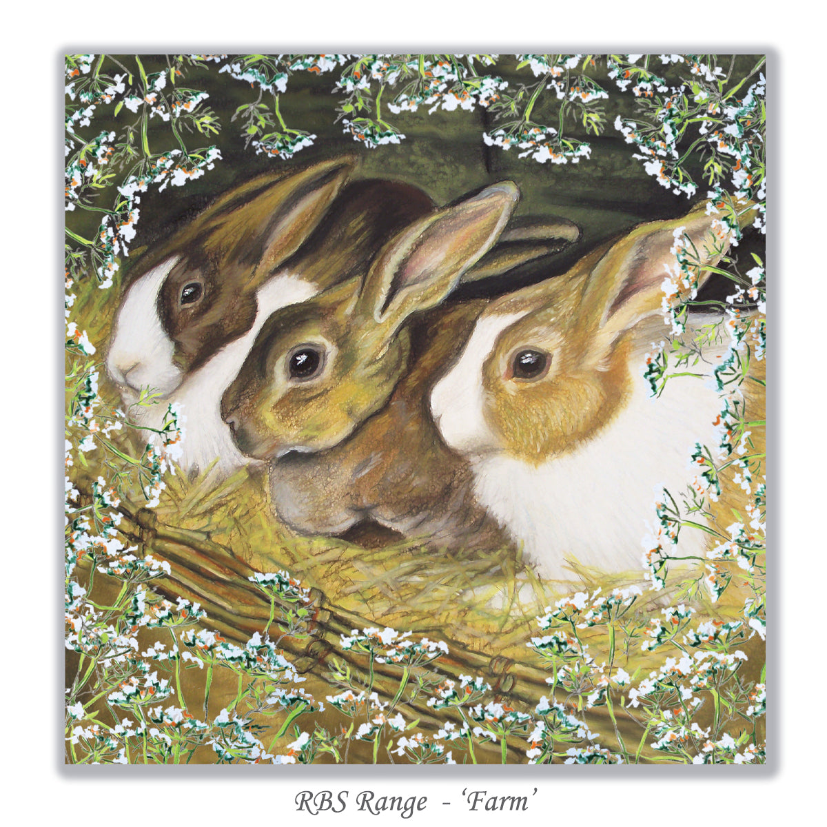 card rabbits