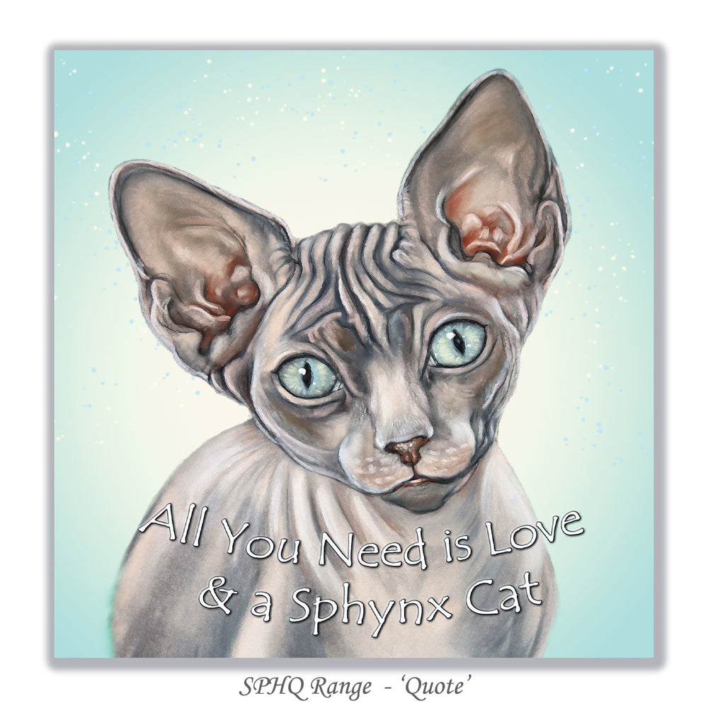 all you need is love & a sphynx cat