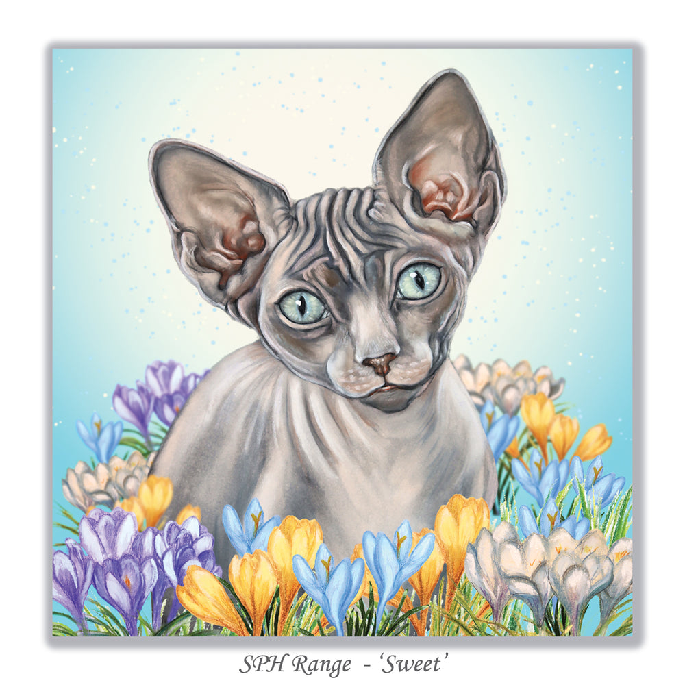 sphynx cat greeting card