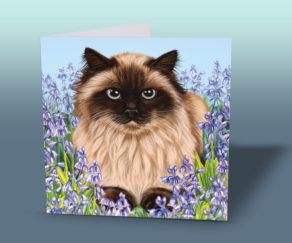 balinese cat card