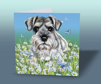 Schnauzer Dog greeting card