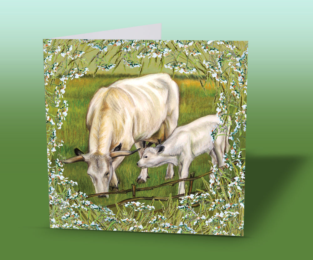 cow and calf card
