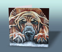greeting card bloodhound