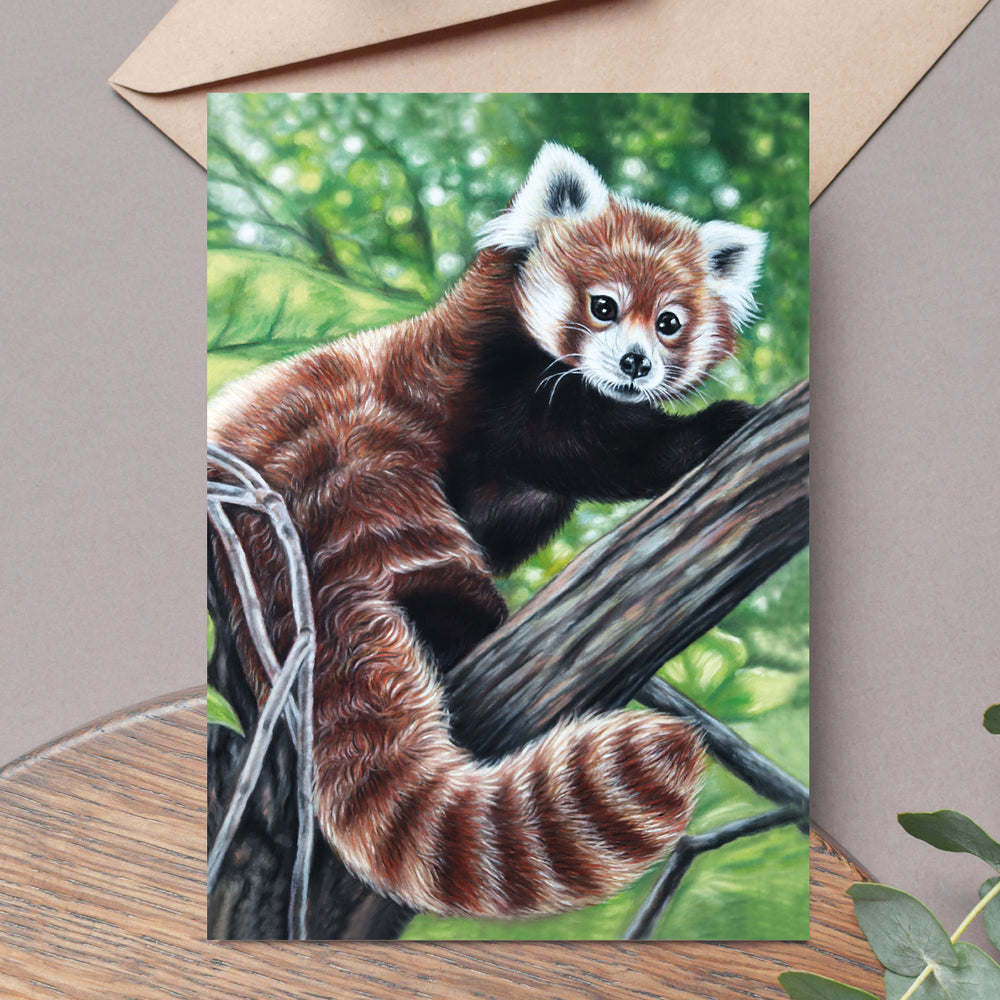 greeting card red panda