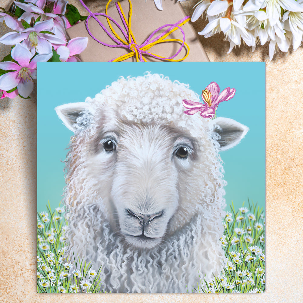 greeting card sheep