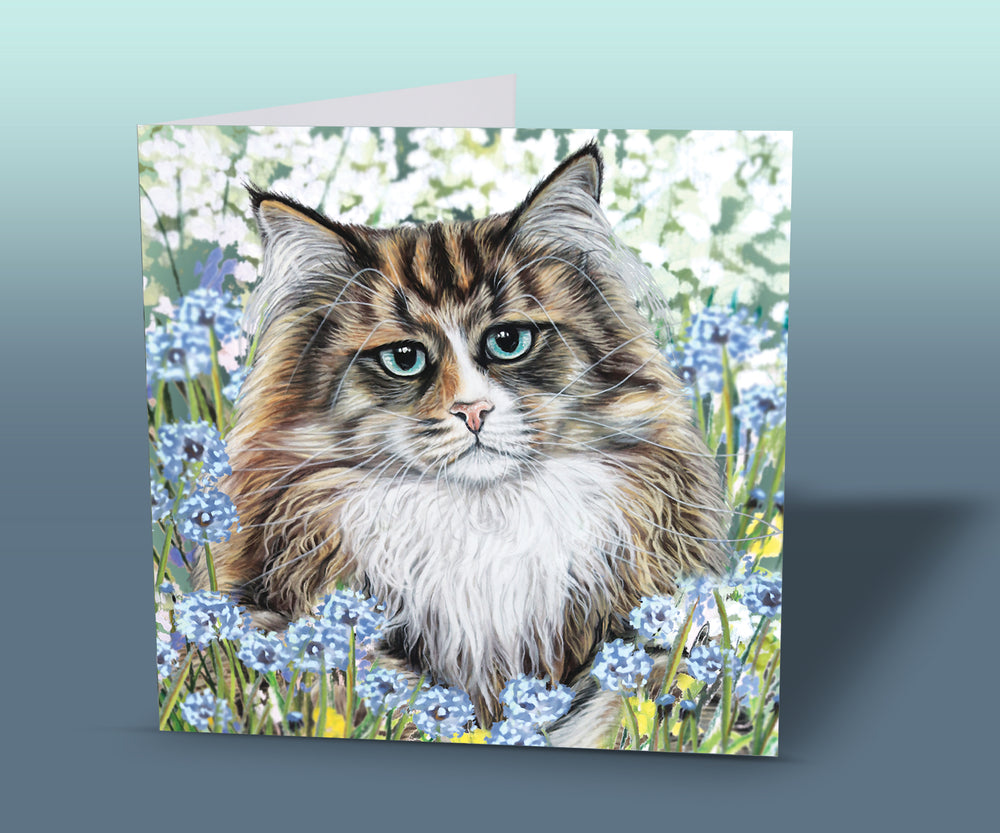 greeting card siberian cat