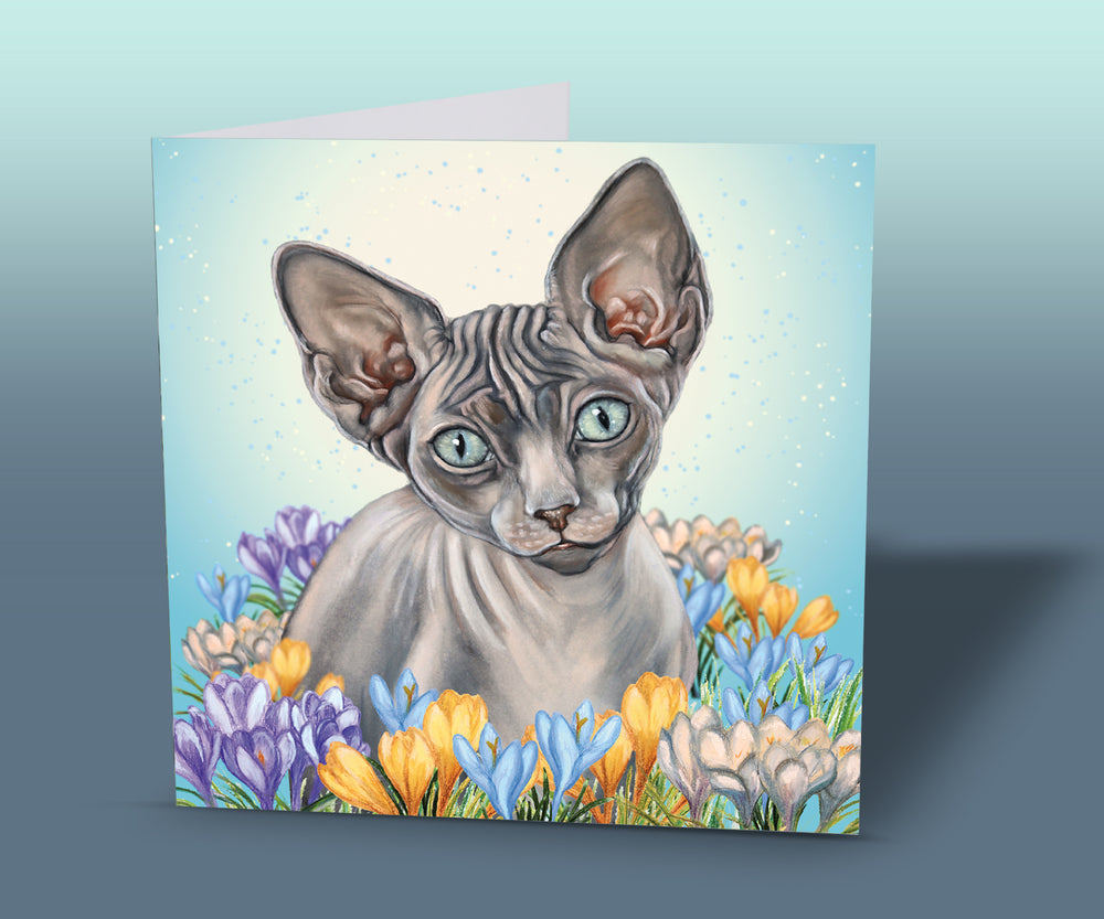 greeting card sphynx cat
