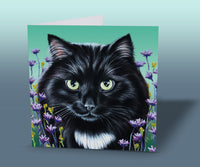 greeting card with black cat
