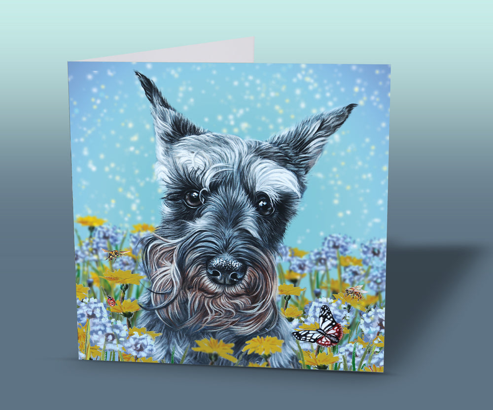 greeting card with schnauzer