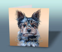 greeting card yorkshire terrier