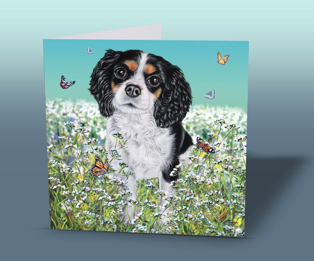 king charles spaniel