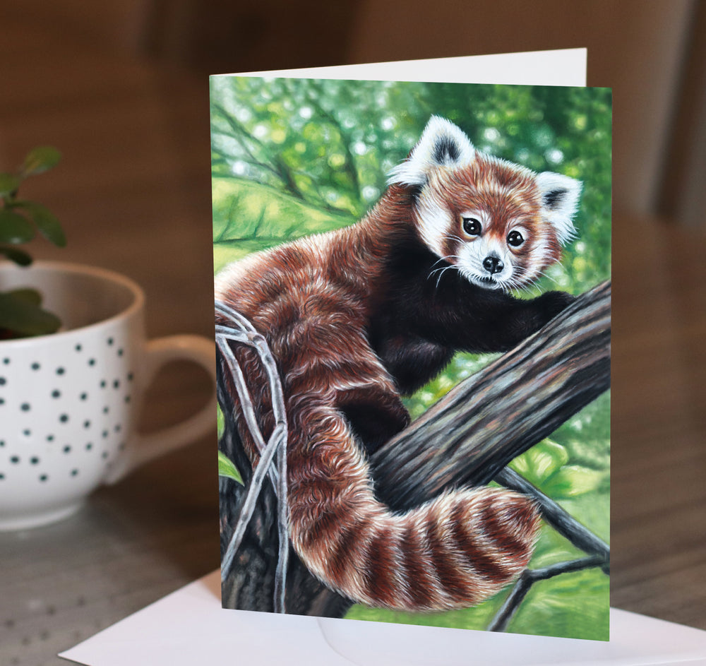 red panda greeting card