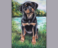 Rottweiler wall art