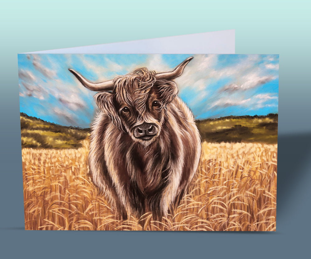 scottish bull greeting card