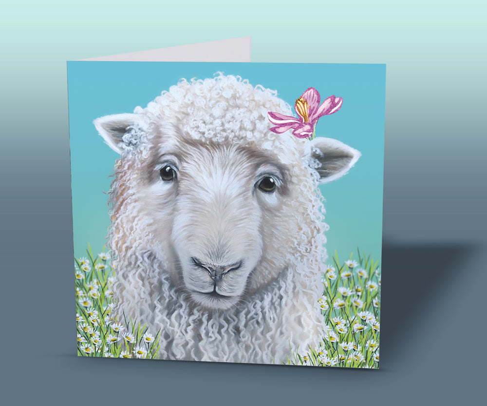 sheep greeting card