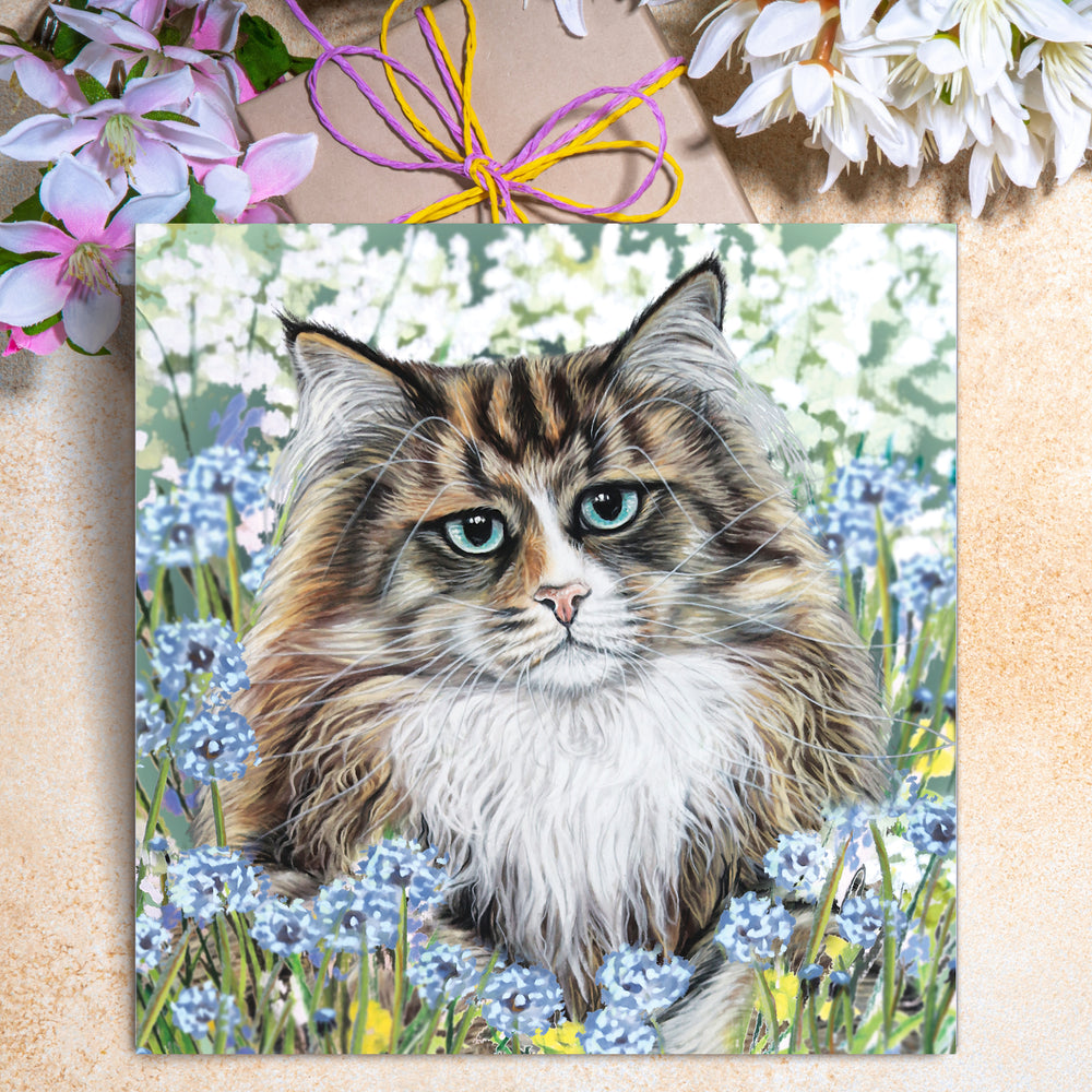 siberian cat greeting card