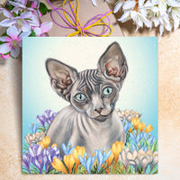 sphynx cat card