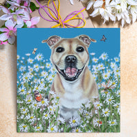 staffy card