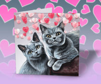 valentines day card british shorthair cat