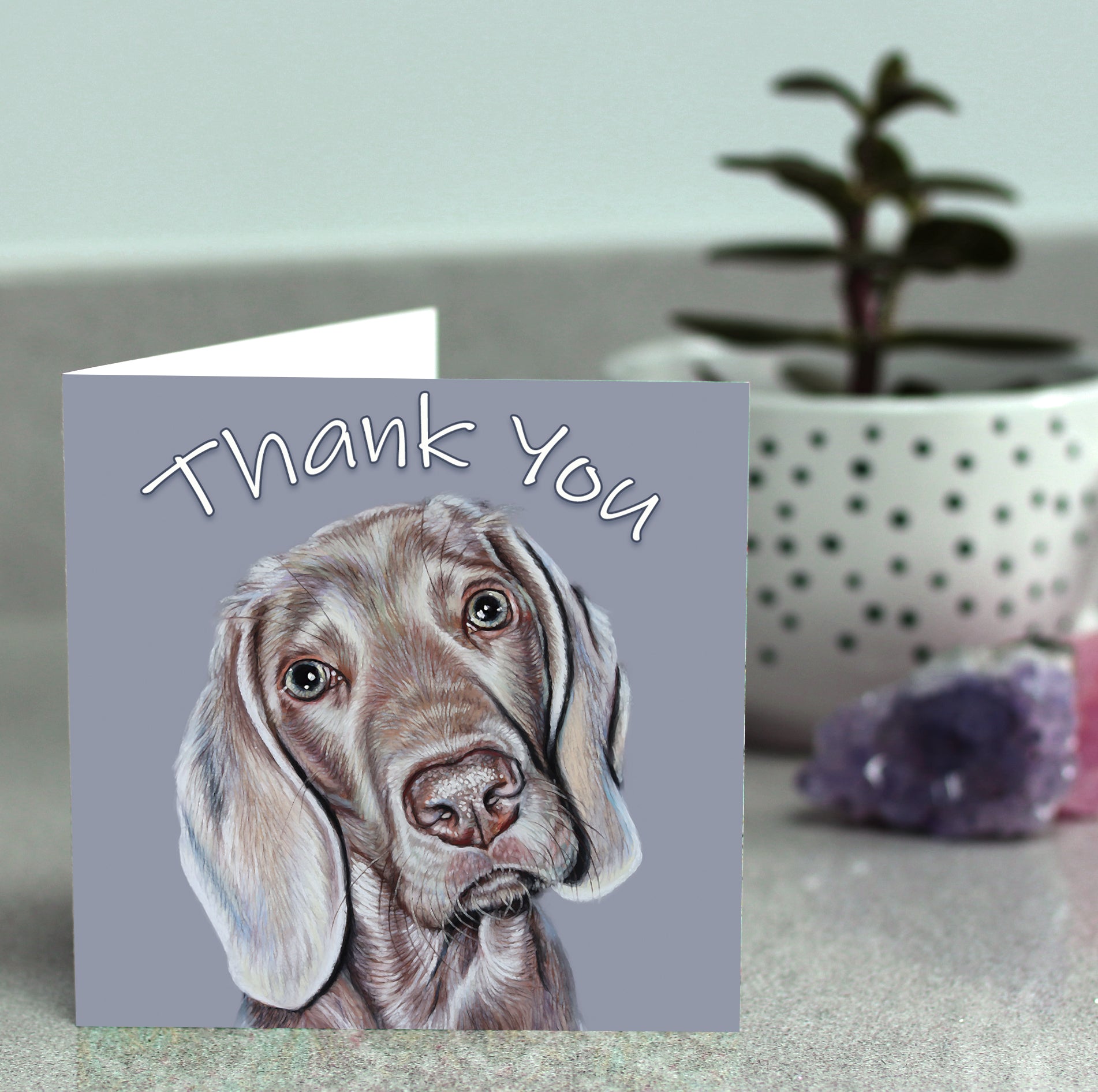 weimaraner dog greeting card