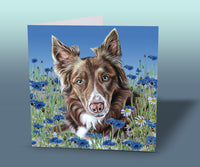 welsh collie card