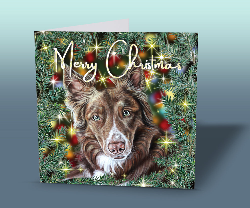 welsh collie christmas card