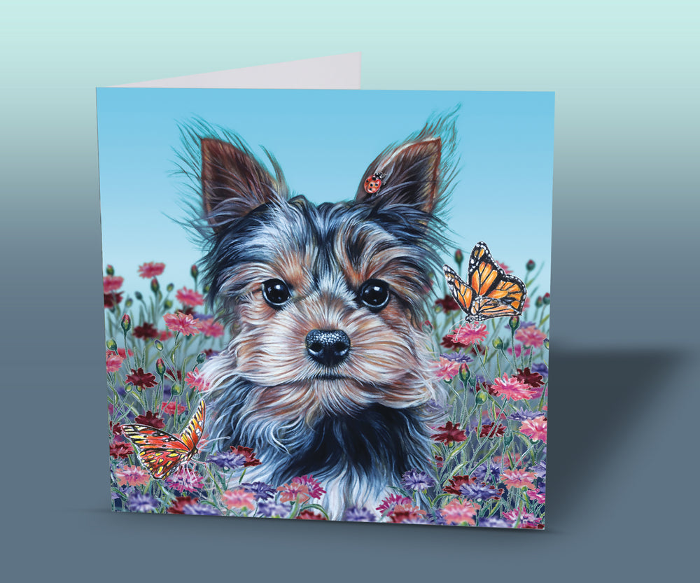 yorkshire terrier greeting card