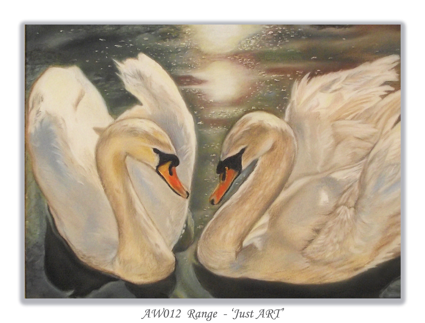 swans greeting card