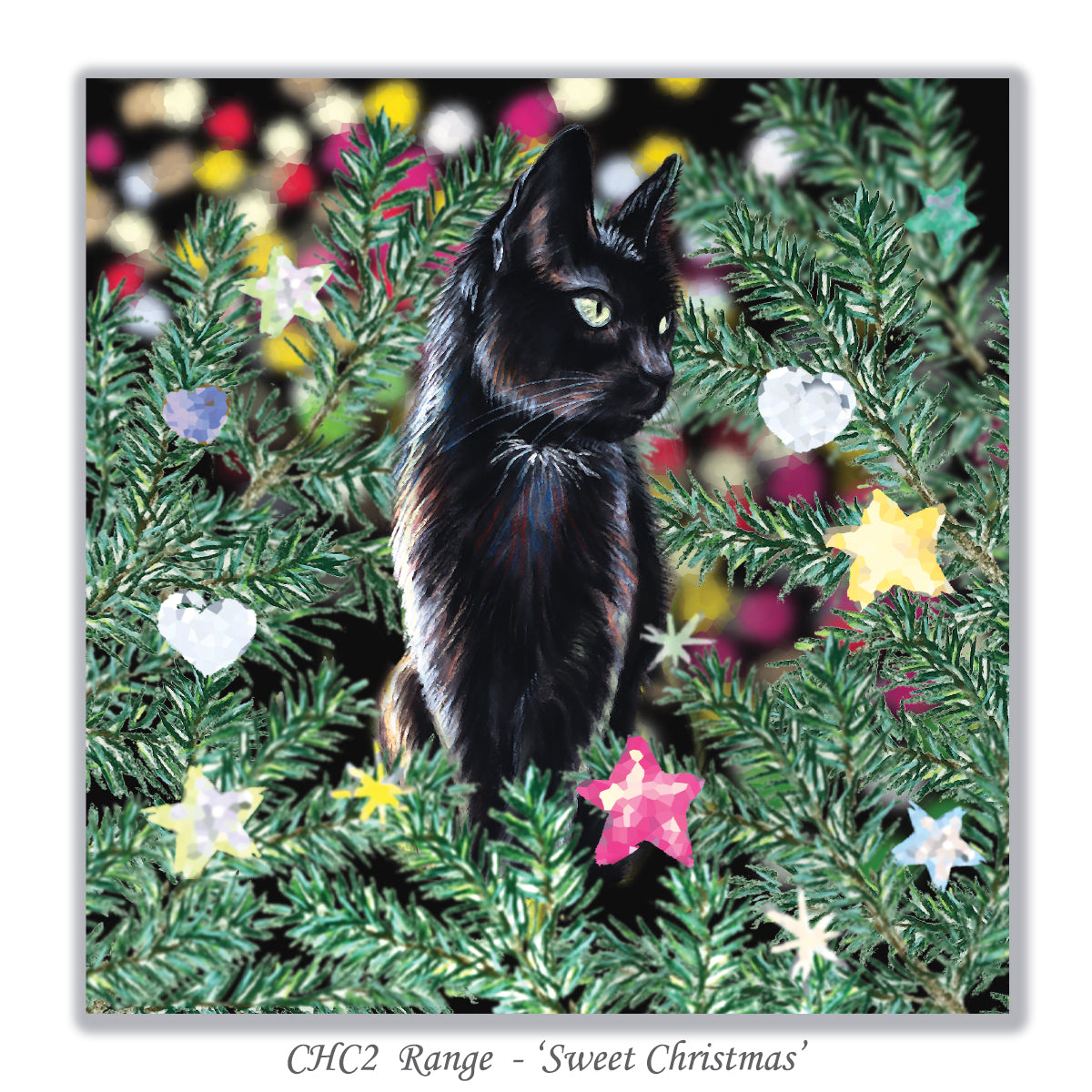 card christmas black cat