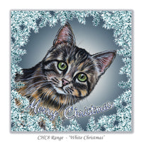 Tabby cat christmas card