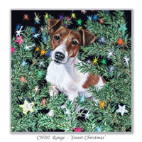 christmas card Jack Russell Terrier
