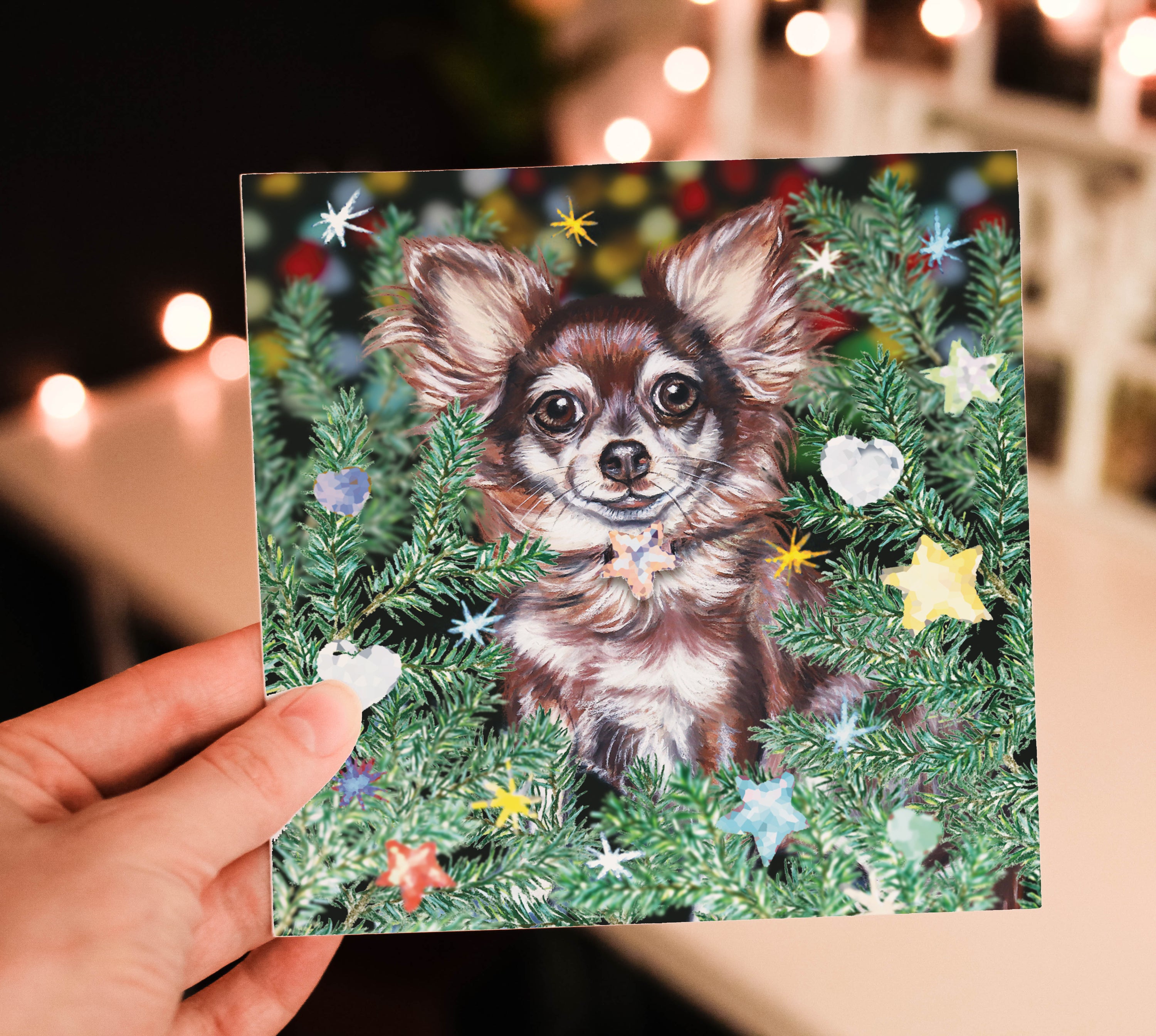 Chihuahua christmas card