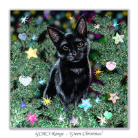 black cat card for christmas