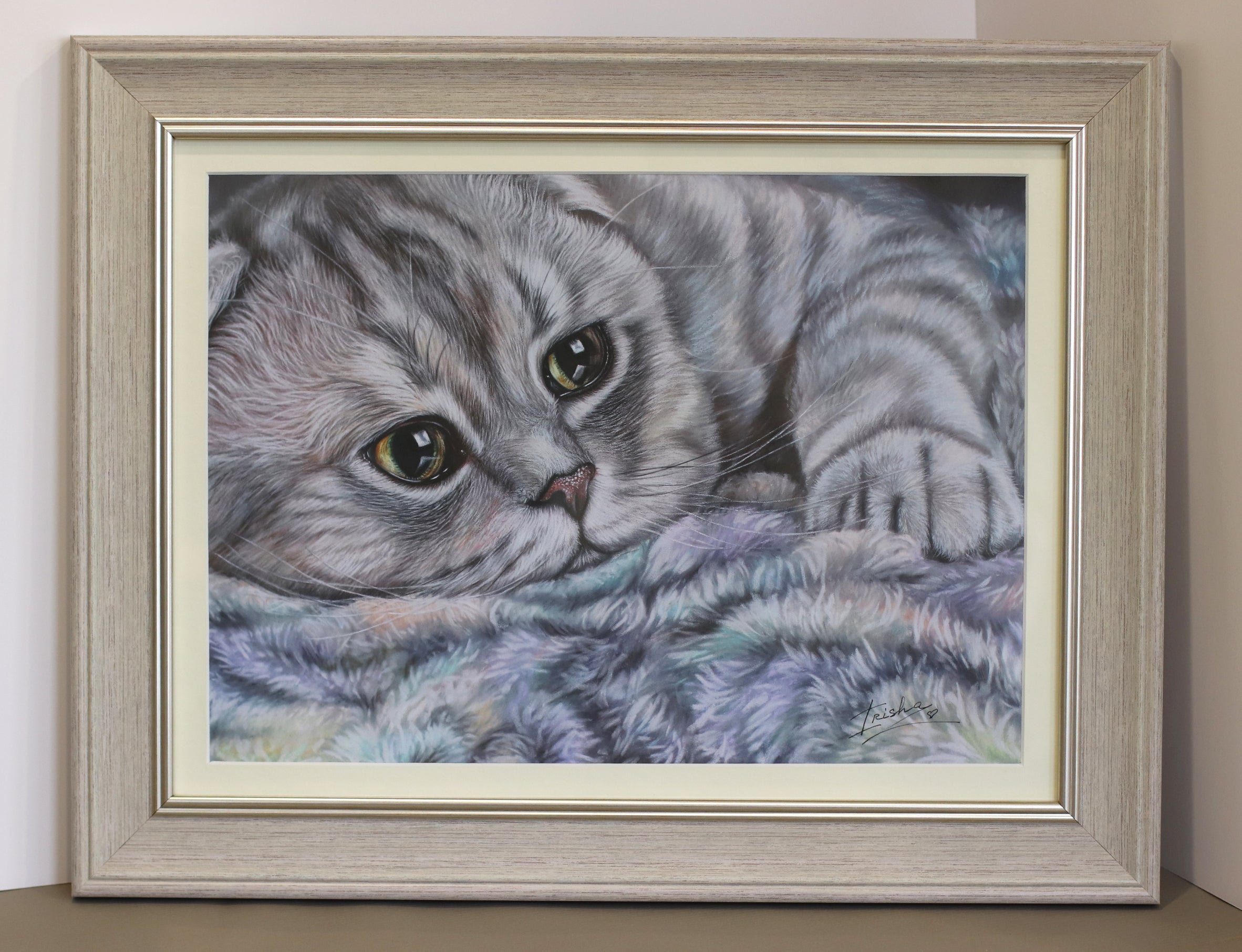 scottish fold cat art print