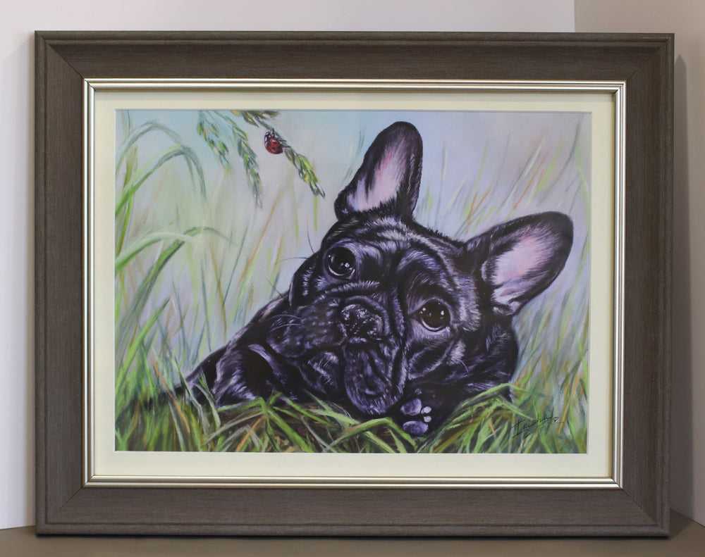 french bulldog art print